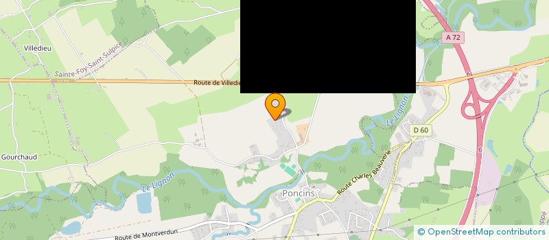 localisation de l'entreprise MADAME JOSEE MAYERE  PONCINS