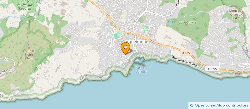 localisation de l'entreprise MADAME JOSEFINA MURCIANO SORIANO  CARQUEIRANNE