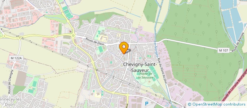 localisation de l'entreprise MADAME JOSEPHINE BILONGO-MUANDA  CHEVIGNY-SAINT-SAUVEUR