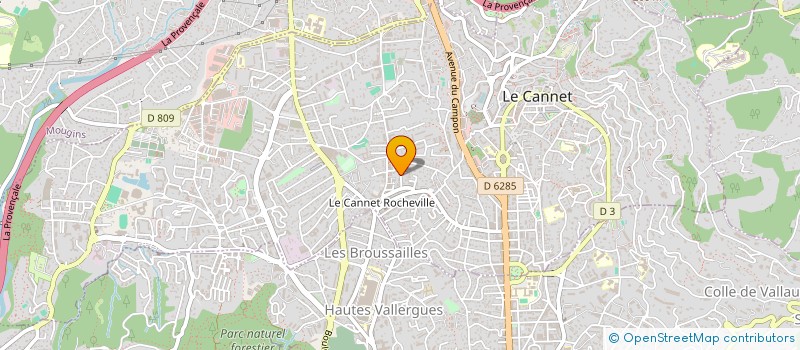 localisation de l'entreprise MADAME JOSEPHINE BOURGOIN à LE CANNET
