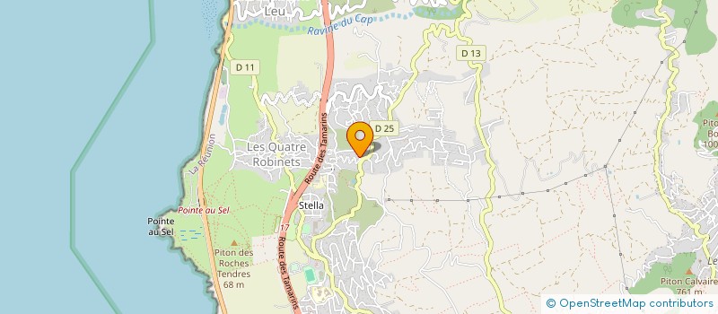 localisation de l'entreprise MADAME JOSEPHINE HODGI  SAINT-LEU