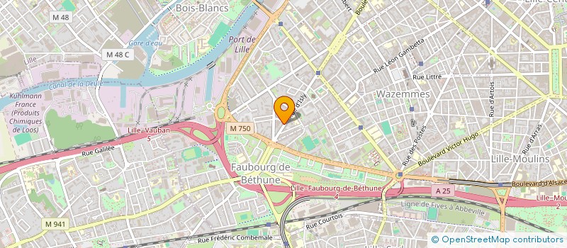 localisation de l'entreprise MADAME JOSEPHINE MARCHAND à LILLE