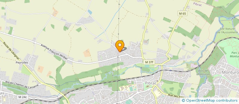 localisation de l'entreprise MADAME JOSETTE LEHMEISC  PIBRAC