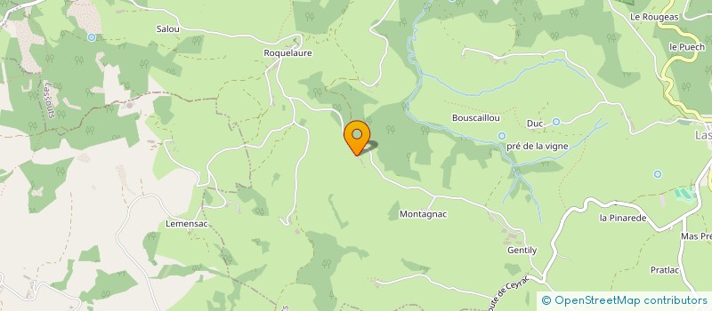 localisation de l'entreprise MADAME JOSETTE LEMOUZY  LASSOUTS