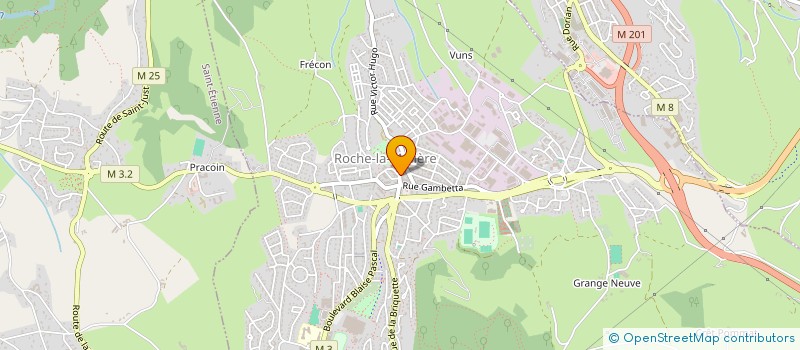 localisation de l'entreprise MADAME JOSETTE RICHARD à ROCHE-LA-MOLIERE