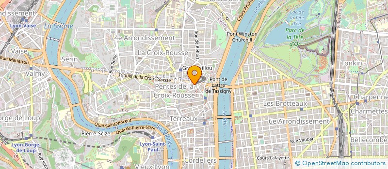 localisation de l'entreprise MADAME JOSHUA ADAMS à LYON