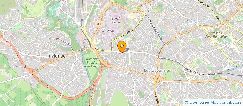 localisation de l'entreprise MADAME JOSIANE BOUTONNET à MONTPELLIER