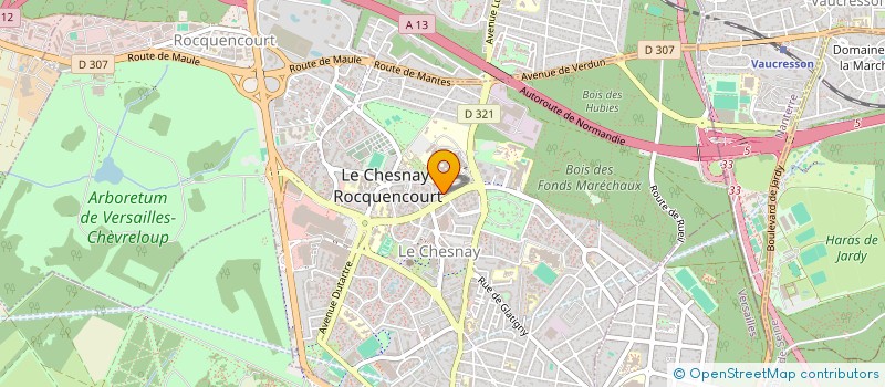 localisation de l'entreprise MADAME JOSIANE CHOTARD  LE CHESNAY-ROCQUENCOURT