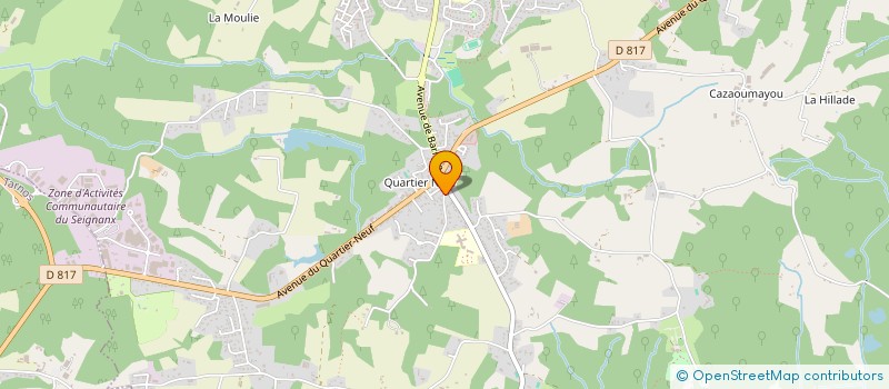 localisation de l'entreprise MADAME JOSIANE FIEYRE  SAINT-MARTIN-DE-SEIGNANX