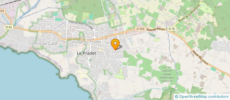 localisation de l'entreprise MADAME JOSIANE JULIEN à LE PRADET