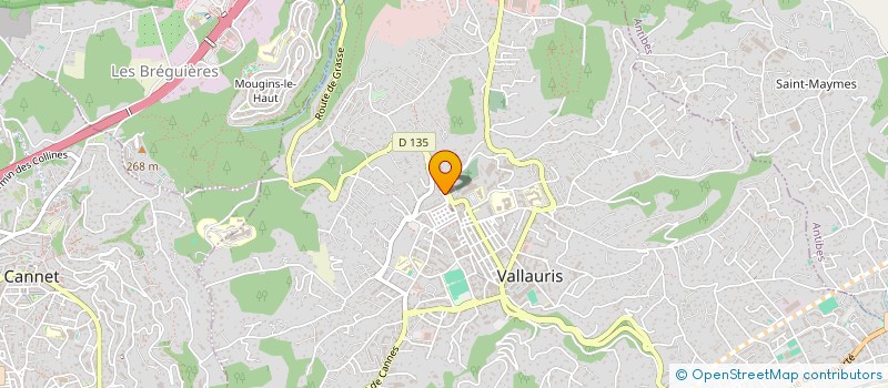 localisation de l'entreprise MADAME JOUDA BEN DEKHIL  VALLAURIS