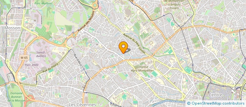 localisation de l'entreprise MADAME JOY AMENAGHAWON à MONTPELLIER