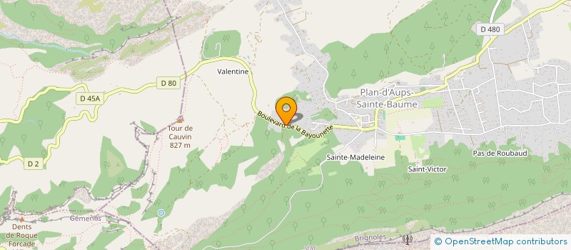 localisation de l'entreprise MADAME JOY DEZERT à PLAN-D'AUPS-SAINTE-BAUME