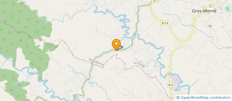 localisation de l'entreprise MADAME JOY ERASMUS  GROS-MORNE