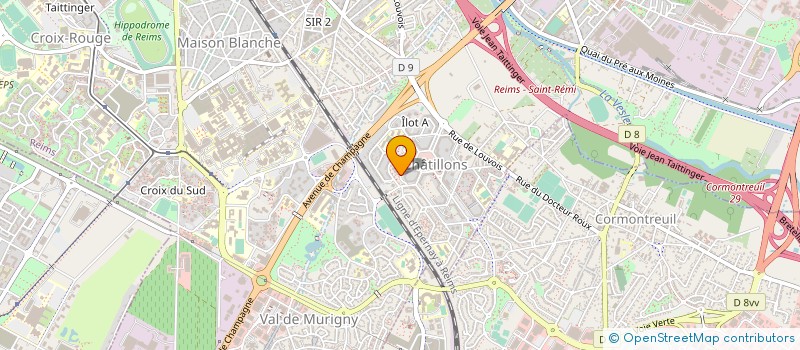 localisation de l'entreprise MADAME JOY OKUDAYE  REIMS