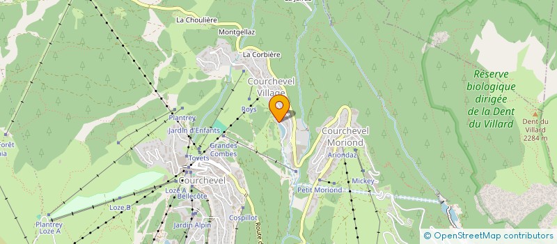 localisation de l'entreprise MADAME JOYA SASTRY-DRURY à COURCHEVEL