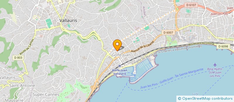 localisation de l'entreprise MADAME JOYCE NAHAS à VALLAURIS
