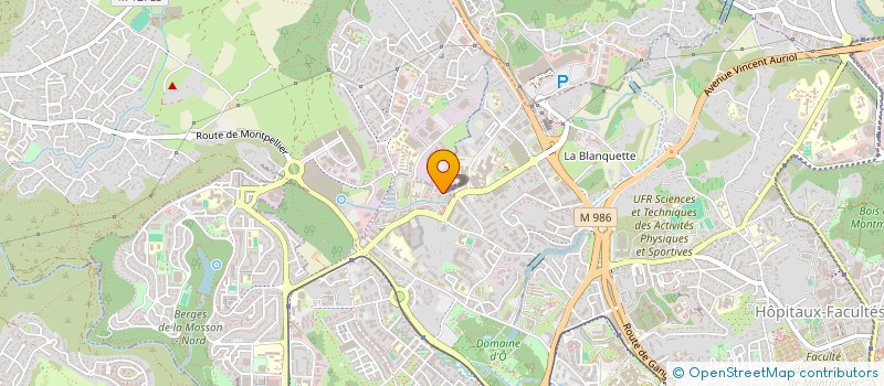 localisation de l'entreprise MADAME JUAN BARNES MURCIA  MONTPELLIER