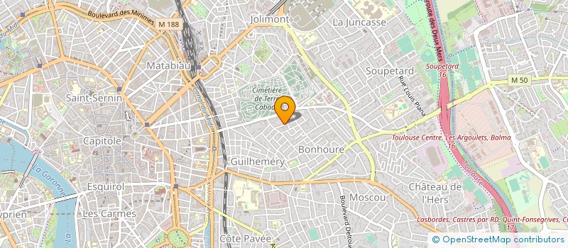localisation de l'entreprise MADAME JUANITADE- LA- PAZ USANDIVARAS à TOULOUSE