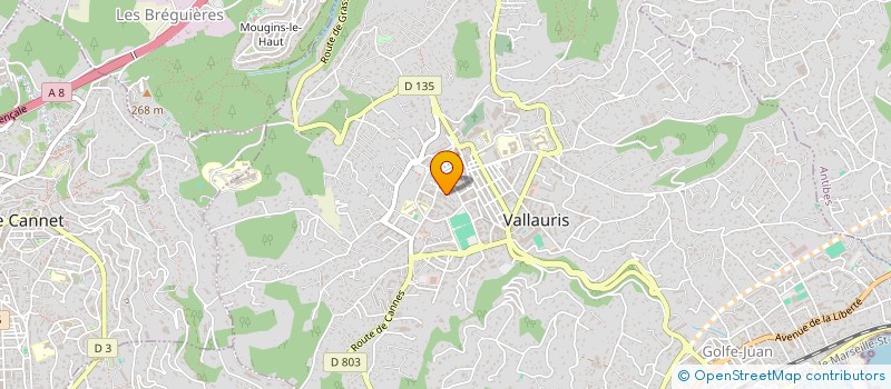 localisation de l'entreprise MADAME JUDICAELLE VINCENT  VALLAURIS