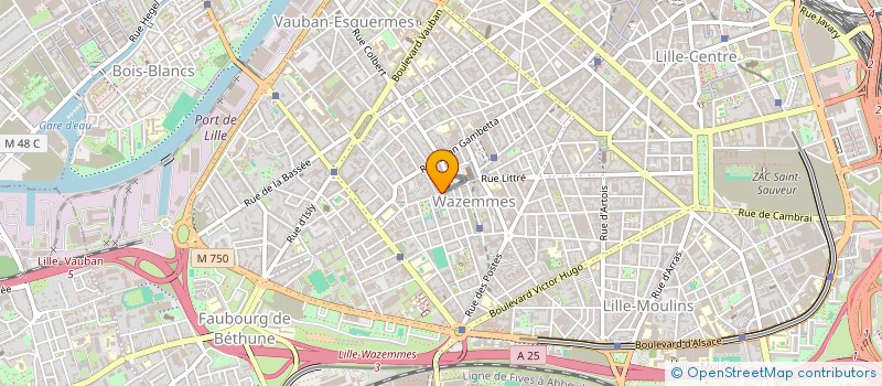 localisation de l'entreprise MADAME JUDITH CHIAPPARIN  LILLE