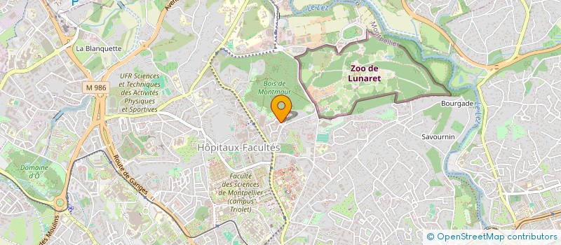 localisation de l'entreprise MADAME JUDITH MARIOTTI à MONTPELLIER