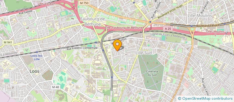 localisation de l'entreprise MADAME JULIA ABRAMOVICI à LILLE