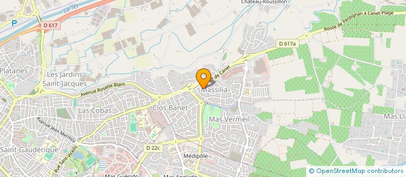 localisation de l'entreprise MADAME JULIA BALAN  PERPIGNAN