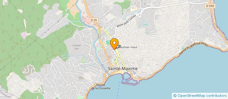 localisation de l'entreprise MADAME JULIA BOISSEAU à SAINTE-MAXIME