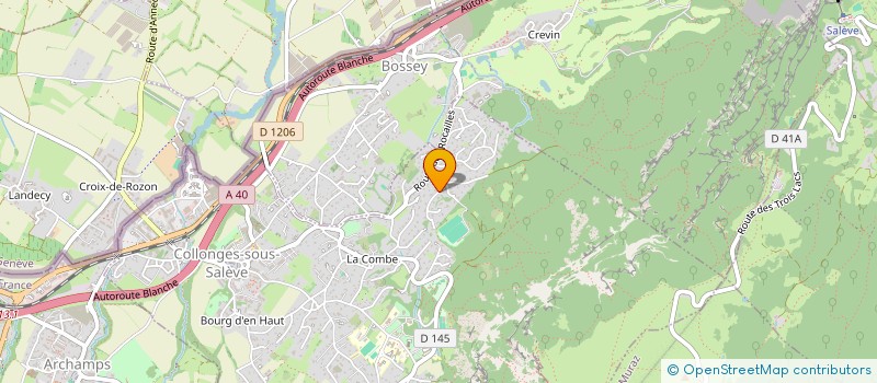 localisation de l'entreprise MADAME JULIA DOYLE MAURICE DUGUE MAC CARTHY  COLLONGES-SOUS-SALEVE