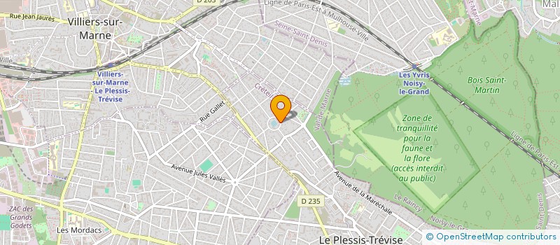 localisation de l'entreprise MADAME JULIA HOKIC  LE PLESSIS-TREVISE