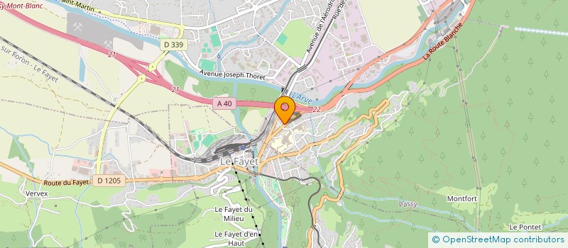 localisation de l'entreprise MADAME JULIA KAPITONOVA  SAINT-GERVAIS-LES-BAINS