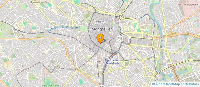 localisation de l'entreprise MADAME JULIA SANZ à MONTPELLIER
