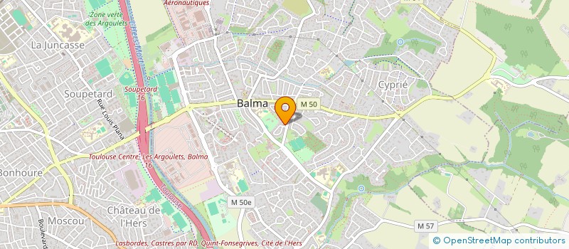 localisation de l'entreprise MADAME JULIA SCHIESSWOHL  BALMA