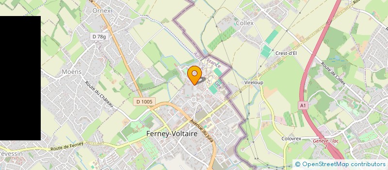 localisation de l'entreprise MADAME JULIA SEIERMANN à FERNEY-VOLTAIRE