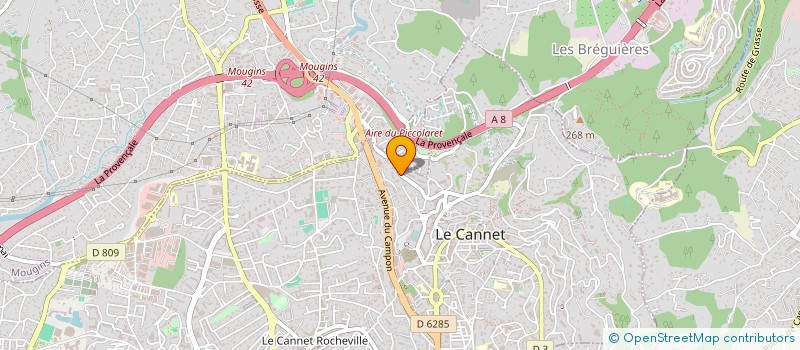localisation de l'entreprise MADAME JULIA SKREBNEVA à LE CANNET