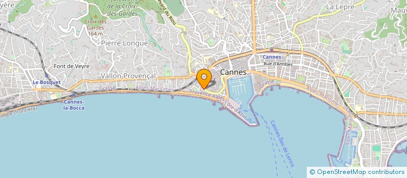 localisation de l'entreprise MADAME JULIA SOLIGNAC  CANNES