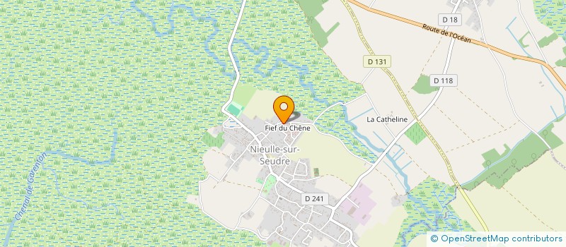 localisation de l'entreprise MADAME JULIA THOMAS  NIEULLE-SUR-SEUDRE