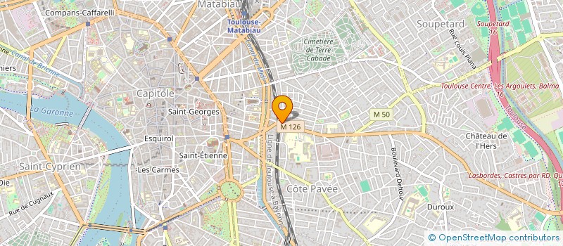localisation de l'entreprise MADAME JULIANA MUSITELLI à TOULOUSE