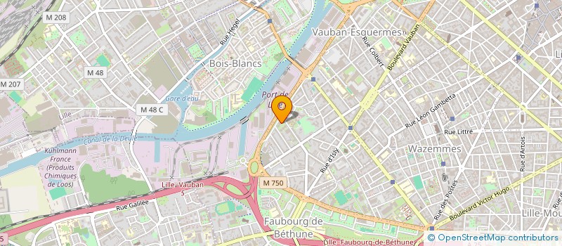 localisation de l'entreprise MADAME JULIANE CERF à LILLE