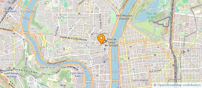 localisation de l'entreprise MADAME JULIANE NICOLA à LYON