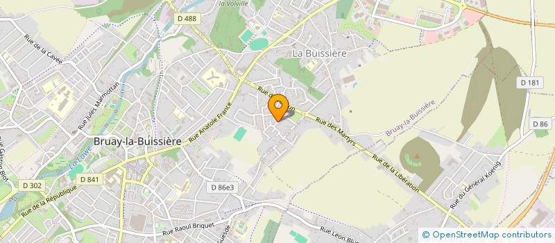 localisation de l'entreprise MADAME JULIE ADELAIDE à BRUAY-LA-BUISSIERE