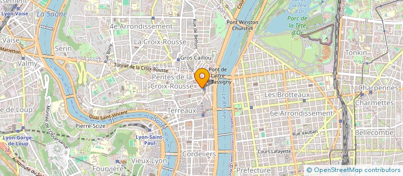 localisation de l'entreprise MADAME JULIE BARRAUD à LYON