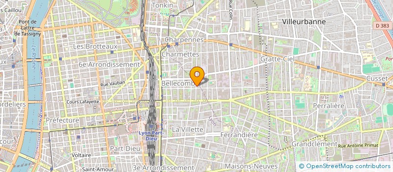 localisation de l'entreprise MADAME JULIE BERGER  VILLEURBANNE