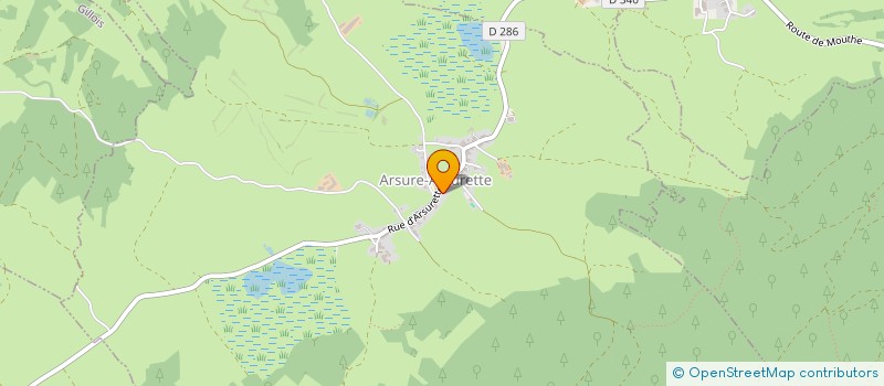 localisation de l'entreprise MADAME JULIE BERROD  ARSURE-ARSURETTE