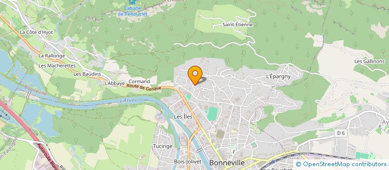 localisation de l'entreprise MADAME JULIE BERRUEX  BONNEVILLE