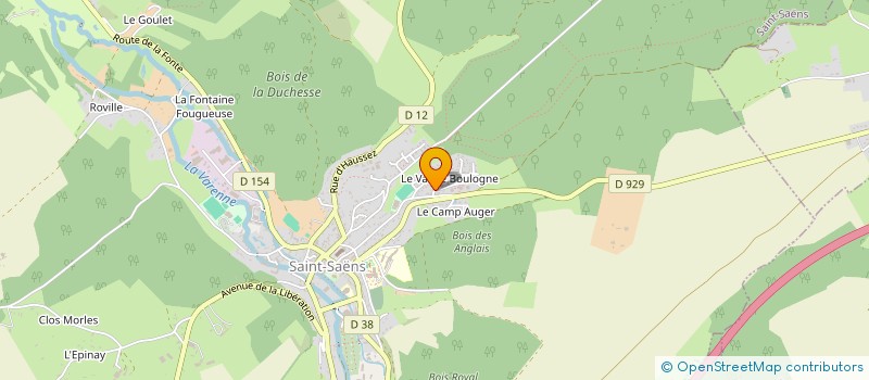 localisation de l'entreprise MADAME JULIE BERTIN  SAINT-SAENS