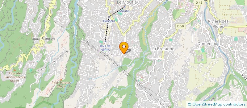 localisation de l'entreprise MADAME JULIE BOYER  SAINT-DENIS