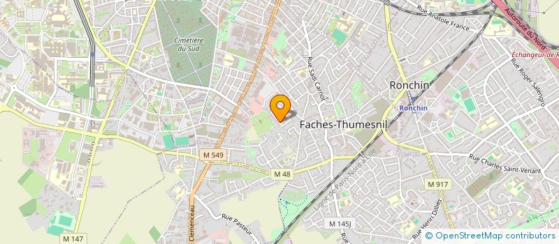 localisation de l'entreprise MADAME JULIE CHAZOUL  FACHES-THUMESNIL