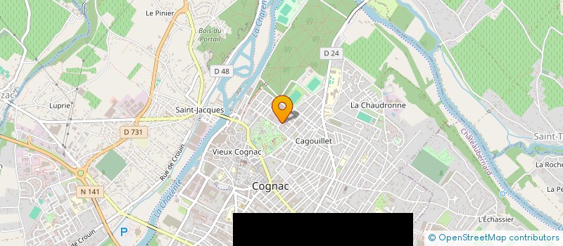 localisation de l'entreprise MADAME JULIE CHENEVIER à COGNAC